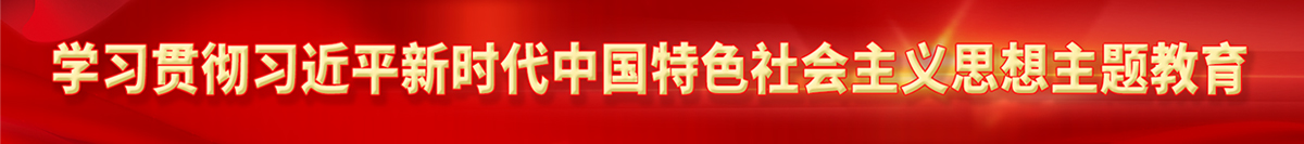 學習貫徹習近平新時代中國特色社會主義思想主題教育